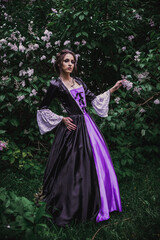 Fototapeta premium Lady in black and purple baroque dress