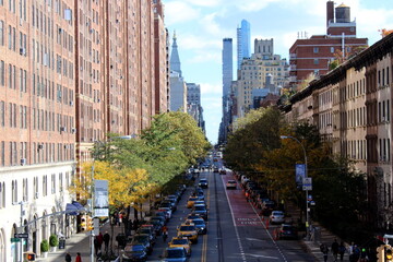 Traditional street urban scenery of Manhattan, New York City, with buildings, skyscrapers, yellow...