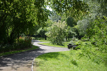 Aleja r&oacute;żana 