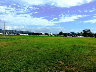 green grass and blue sky