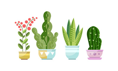 Green Growing Potted Houseplants Set, Home or Office Decorative Plants Flat Style Vector Illustration