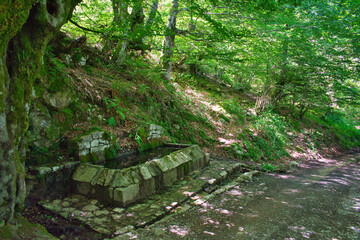 parque natural redes, Caso, Asturias, España, Spain