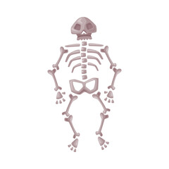 Human Skeleton, Happy Halloween Object Cartoon Style Vector Illustration on White Background