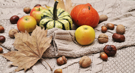 Autumn background.  Autumn leaves,cups, and pumpkin on wooden background.