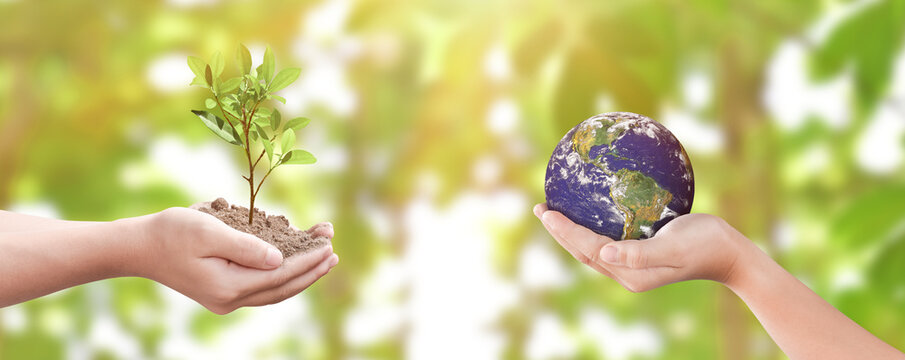 Environment day concept: Child hands holding tree and earth over blurred nature background. Elements of this image furnished by NASA