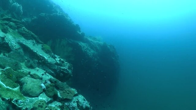 Swimming under water next to rocks