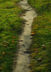 秋　小道　素材