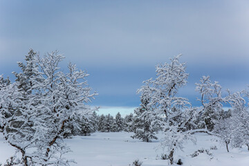 Winter landscape in Nuorgam, Lapland, Finland