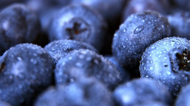 Macro shot of wet fresh blueberries.