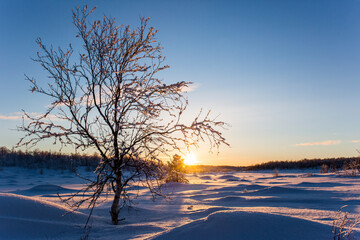 Fototapeta na wymiar Winter sunset in Nuorgam, Lapland, Finland