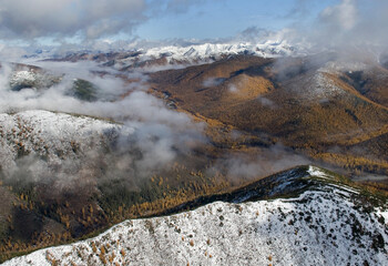 Expedition to taiga forest area