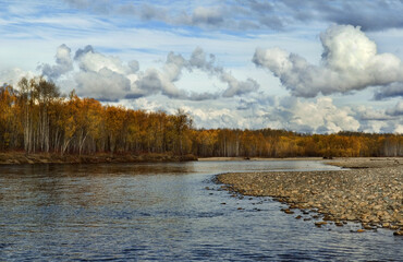 Expedition to taiga forest area