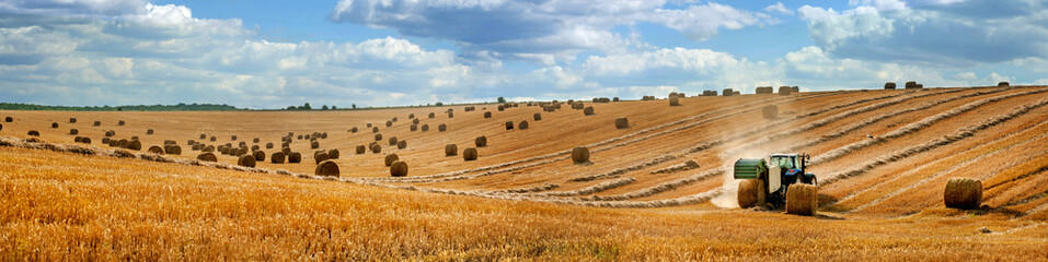 großes Panorama eines Feldes mit Strohballen, ein Traktor mit einer Ballenpresse, die Stroh erntet