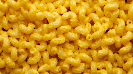 pasta amorosi with cheddar cheese sauce