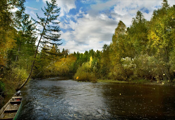 Expedition to taiga forest area