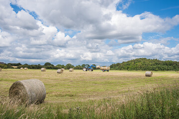 hay bales in the field