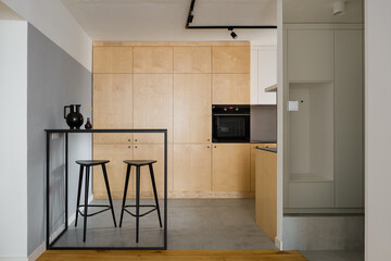 Modern style kitchen with plywood cupboards