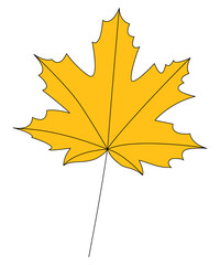Yellow autumn maple leaf. Isolated on a white background. Vector illustration.