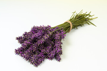Stack of violet lavender on a white pale background front viev