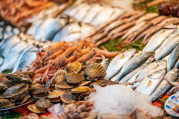 Assorted fresh fish and seafood lying on the ice, on the counter in the store