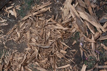 Wooden background