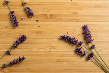 Bunch of lavender on a wooden background