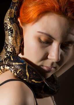 redhead woman holding snake. close-up photo girl with pygmy python on a white background