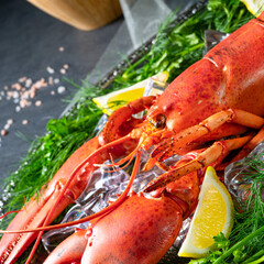 the cooked lobster on ice
