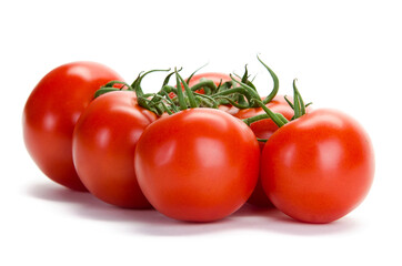 Strauchtomaten