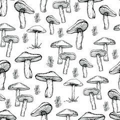 Mushroom pattern. Handmade graphics. Coloring book for children. Edible mushrooms and toadstools. Healthy food illustration. Autumn forest plants sketches for textiles, wallpaper, coloring, packaging