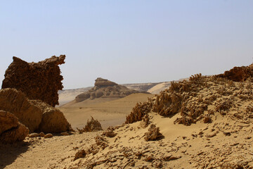 Object of fossil and desert in the exhibition display of wadi hitan Unison world heritage site at Al Fayoum, Egypt.