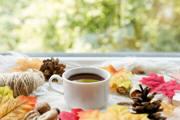 Cup of autumn coffee or chocolate, pine cones and yellow dry leaves near a window, copy space