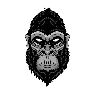 Animal head gorilla, ape, monkey. wild logo vector illustration. editable vector.