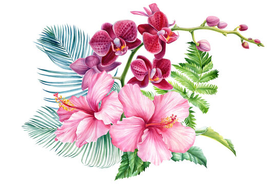 Flowers and palm leaves, Bouquet of orchid, hibiscus, on an isolated white background, watercolor illustration