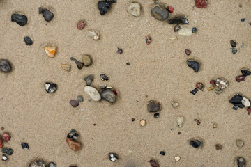 Pebbles in the sand on the beach wallpaper