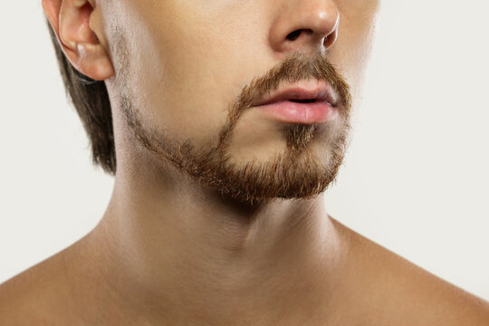 Latino Man Beard Images – Browse 12,964 Stock Photos, Vectors, and Video |  Adobe Stock