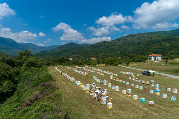 Fototapeta na wymiar Beekeepers working to collect honey