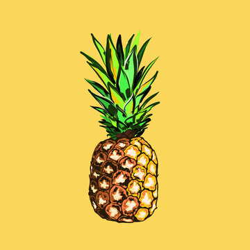 illustration of pineapple