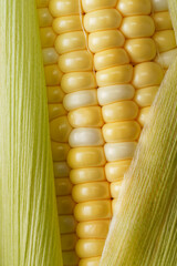 とうもろこし