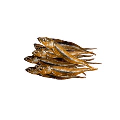 節分モチーフの背景素材 水彩風ベクターイラスト Background Wall Mural Backgrou Newmin