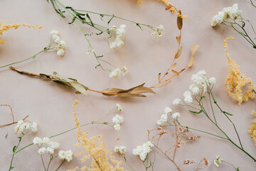 Dried flowers on pastel pink background.