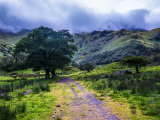 mountain landscape in the summer