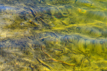 Beautiful sandy bottom of the lake. View through clear water