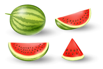 Realistic fresh watermelon set. Juicy watermelon isolated on white. Tropical fruits vector illustration