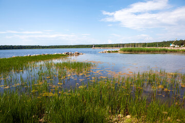 Picturesque Dubkovaya Bay of the Gulf of Finland with a view of the chapel of St. Nicholas the Wonderworker. Recreation center 
