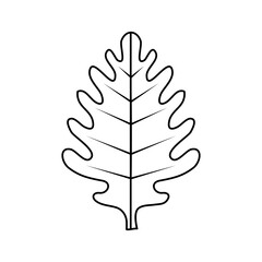 tree palm leaf foliage icon
