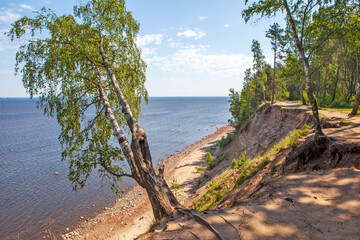 Fototapeta na wymiar Panorama of the Gulf of Finland and a high 20-meter cliff near the Krasnaya Gorka fort. Settlement Fort Krasnaya Gorka, Lomonosov district, Leningrad region. Russia