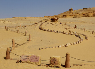 Object of fossil and desert in the exhibition display of wadi hitan Unison world heritage site at Al Fayoum, Egypt. © Ahmed