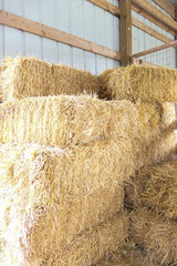 hay bales in a barn