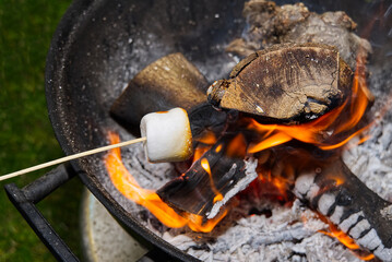 cooking marshmallow on wooden stick over fire.